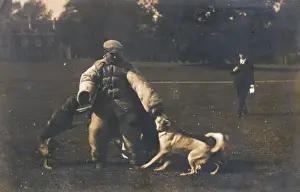 Police Dog Training Drucke: Training Dog to Attack