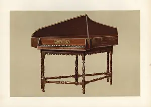 Ein Kreuzspinet mit sechs Beinen von Stephen