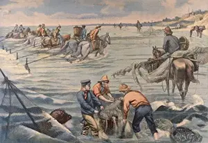 Historical Marine Life Drucke: Trawling with Horses
