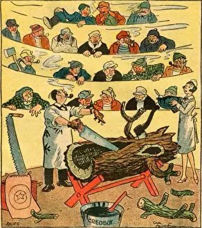 Baumchirurg und Publikum