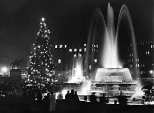 London Landmarks 1950s Drucke: Tree in Trafalgar Square
