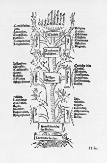 Der Baum der Sünden