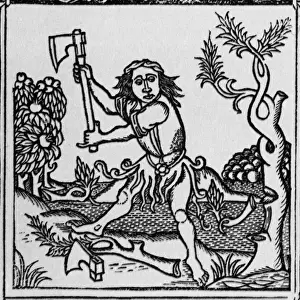 Historical Literature Drucke: The trees & the axe