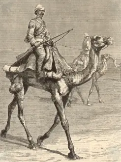 Soldat auf einem Kamel/ 1884