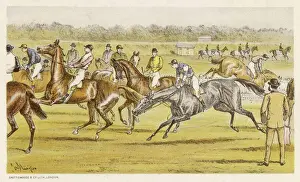Young Thoroughbred Horses Drucke: Troublesome Youngsters