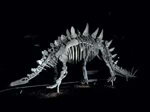 Tuojiangosaurus