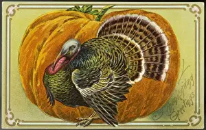 Turkei und Kürbis