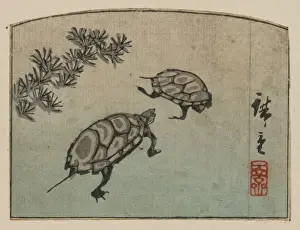 Antique Japanese Woodcuts Drucke: Turtles