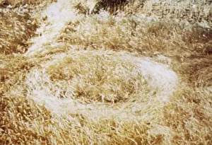 UFO-Rakete-Nest, Langenburg, Saskatchewan Kanada