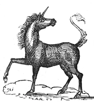 Unicorn