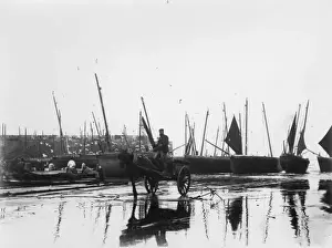 Cornish Harbour Scene Drucke: Unloading the catch at St Ives, Cornwall