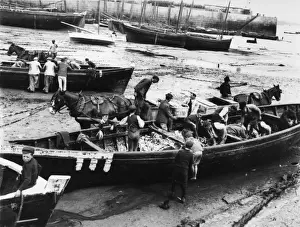 Cornwall Fishing Industry Drucke: Unloading the pilchard catch at St Ives, Cornwall