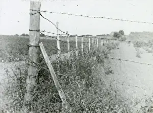 Kent Local History Drucke: Upper Ruxley