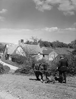 Farming In The 1960s Drucke: Using a Seed Drill