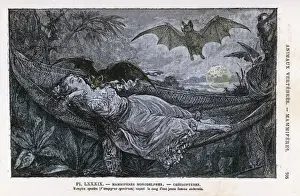 Dark Fantasy Artwork Drucke: Vampire Bats / Rengade