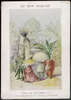 Die Vegetarier als Mensch Nr.: 3, Jahrhundert: 1900