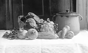Vegetable Soup Ingredients Drucke: Vegetables for Soup