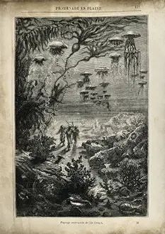 Drucke von VERNE, Jules (1828-1905). Illustration von 20000 Meilen unter dem Meer (1870). Radierung V Drucke: VERNE, Jules (1828-1905). Illustration von 20000.