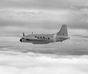 Vintage Aeroplane Collection Drucke: Vickers Varsity VX828
