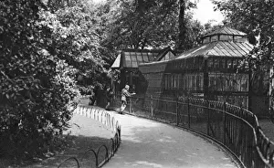 Derby Drucke: Blick auf das Vogelschutzgebiet im Botanischen Garten von Derby