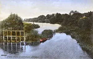 Drucke von Blick vom Caversham Bridge (nach Westen schauend), Reading, Oxfordshire - der Turm der Pfarrkirche St. Petrus ragt nur noch durch die Bäume im oberen rechten Eck hervor; Datum: um 1905 Themse Drucke: Blick vom Caversham-Brücke in Reading im Buckinghamshire