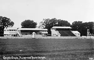 Vintage Racing Images Drucke: View of course and stands, Plumpton racecourse