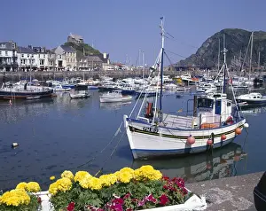Ilfracombe Drucke: Blick auf den Hafen, Ilfracombe, Devon