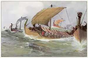 Nordische Raubflotte