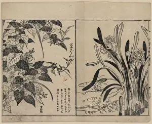 Woodblock Art Japan Drucke: Vines and daffodils