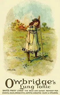 Early 20th Century Advertising Posters Drucke: Violets