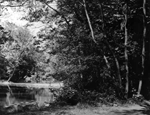 Essex England Drucke: Wanstead Park