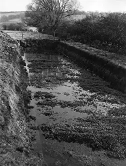 Britain Farming History Drucke: Watercress Bed