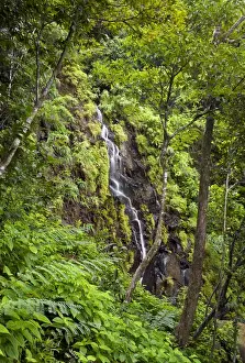 Country Landscape Photography Drucke: A waterfall in Ferney Forest