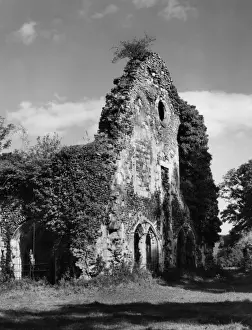 Waverley Abbey Drucke: Waverley Abbey