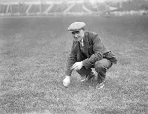 Greyhound Racing History Drucke: Weeding a Race Track