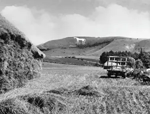 Bildhauerei Drucke: Weißer Riese von Westbury