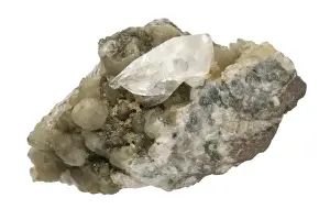 Mineral Specimen Photography Drucke: Whewellite