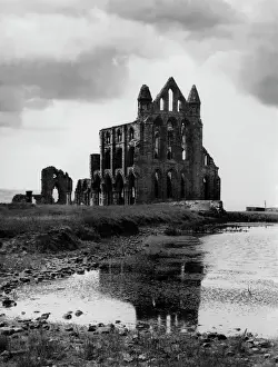 Weißfriarstift Whitby