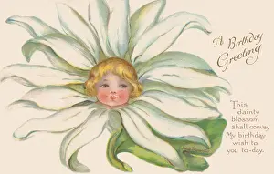 Weisses Blüten Gesicht