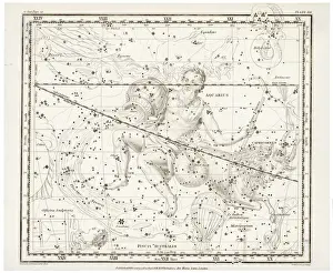 Aquarius Zodiac Sign Drucke: Whittaker / Aquarius / Capri
