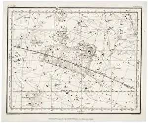 Astrology Signs Drucke: Whittaker / Aries