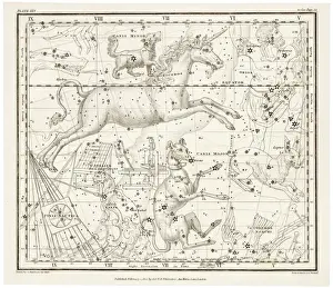Drucke von Inklusive der Konstante Canis Major (Hund) und des Huhnerhufes (Lepus) Hase Drucke: Whittaker im Sternbild Canis Major
