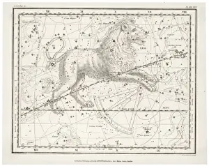 Zodiac Constellations Drucke: Whittaker / Leo
