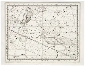 Astrology Signs Drucke: Whittaker / Pisces