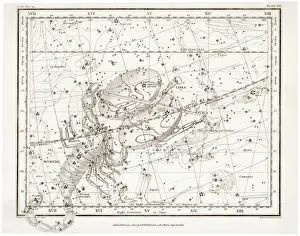 Drucke von Inklusive die Symbole von Skorpion und Waage Skorpion Drucke: Scorpius im Sternbild Libra
