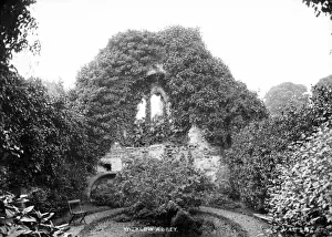 Wicklowschlösser