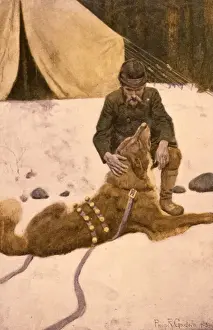 Ruf der wilden Hunde, Thorntons