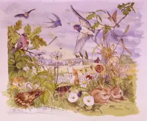 Malcolm Greensmith Artwork Drucke: Wildlife scene