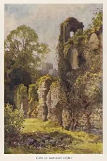 English Castle Ruins Drucke: Winchester / Wolvesey 1908