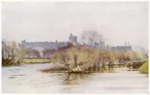 Thames River Views UK Drucke: Windsor / Fellows Eyot
